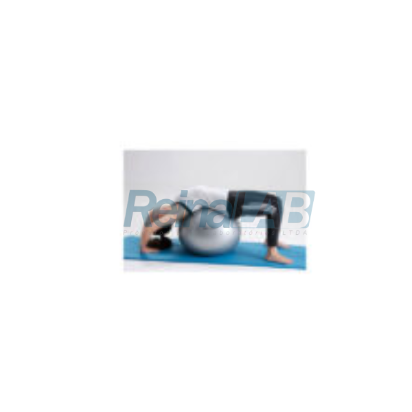 Bola p/Exercícios Gynastic Ball Ø45cm - c/DVD de Exercícios - Imagem 2