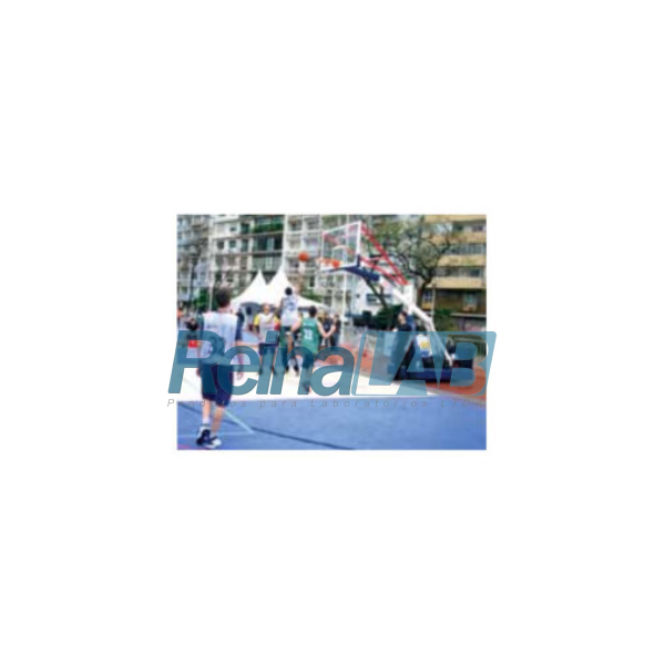 Estrutura para basquete modelo NBA oficializada pela FPB
