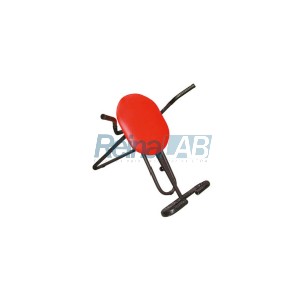 Aparelho Abdominal Swing