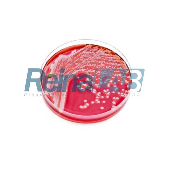 Vermelho de Fenol Caldo Base - 500g