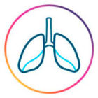 icone-anatomia
