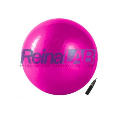 Bola de Ginástica/Exercícios (Suíça) Gym Ball com Bomba de Ar