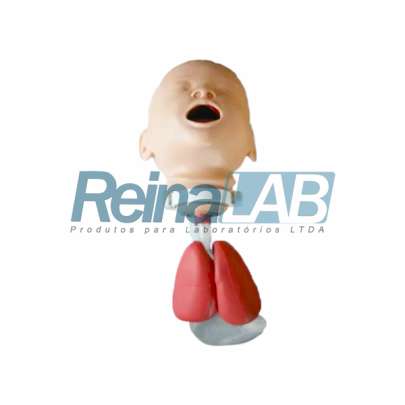 Manequim para Intubação Infantil - Tam Natural
