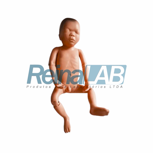 Modelo de Bebê Asiático Recém Nascido - Tam. Natural.