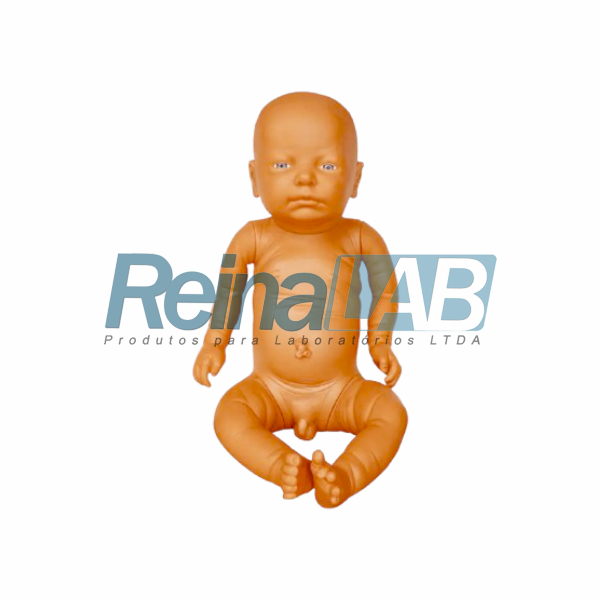 Modelo de Bebê Recém Nascido (Menino) - Tam. Natural.