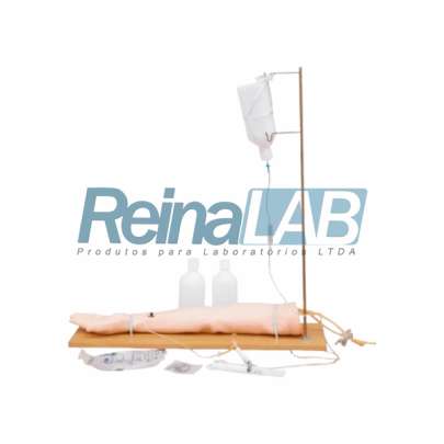 Modelo de Braço de Treinamento com Acessórios - Tam. Natural