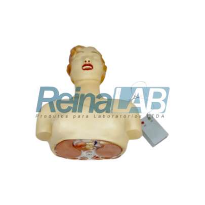 Modelo de Torso para Treinamento Básico de RCP - Tam. Natural