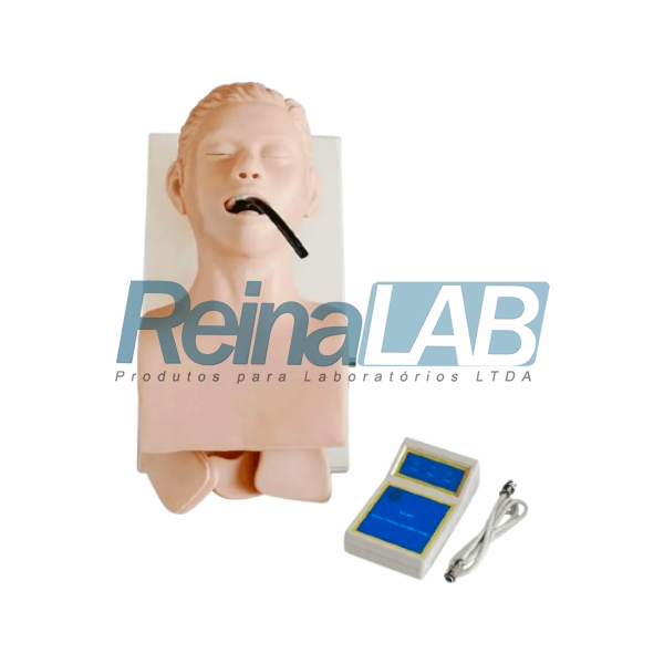 Simulador Adulto com Dispositivo de Controle para Treino de Intubação Traqueal com Base - Tam. Natural